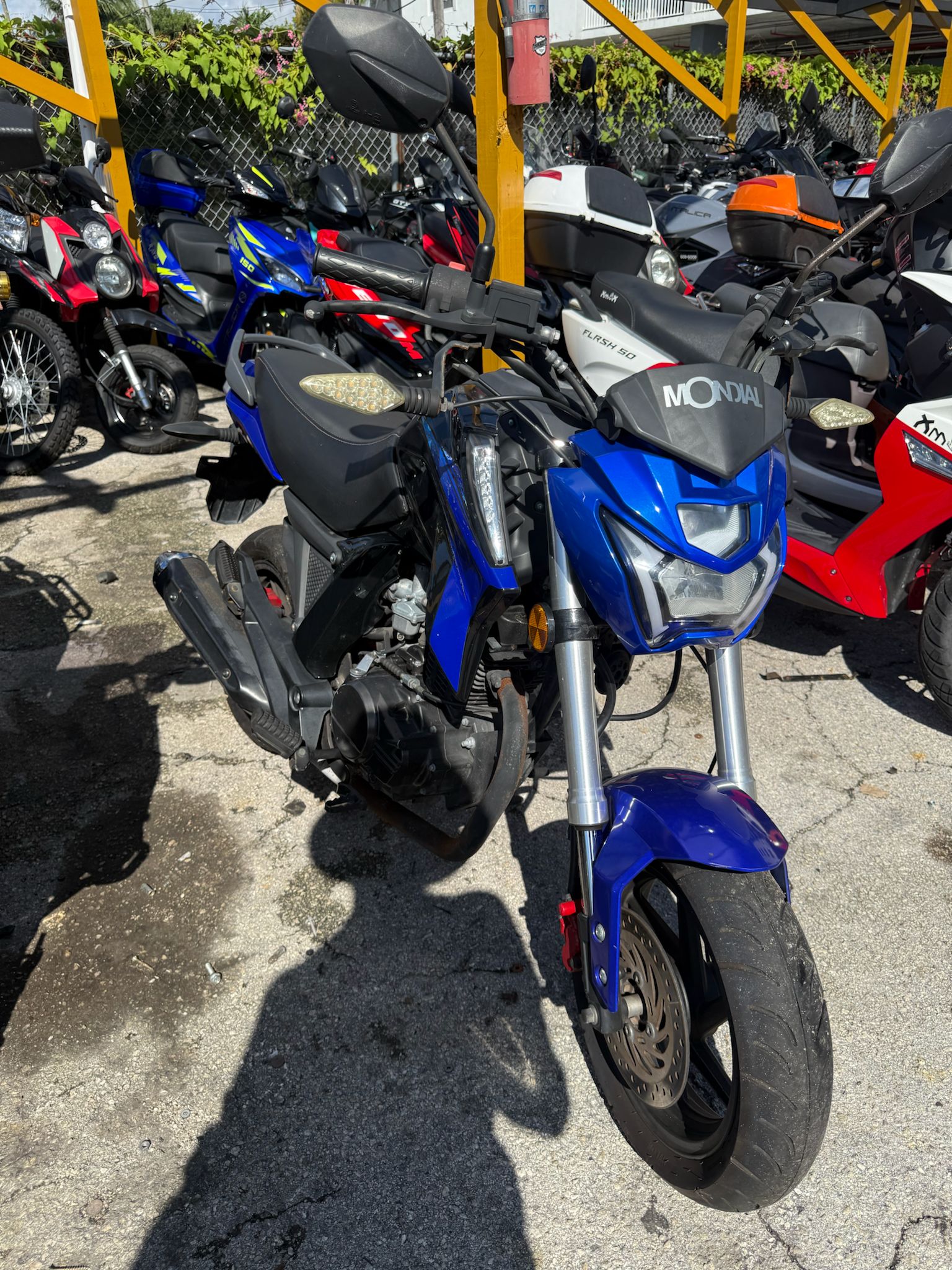 2022 MONDIAL(USADA) 150cc