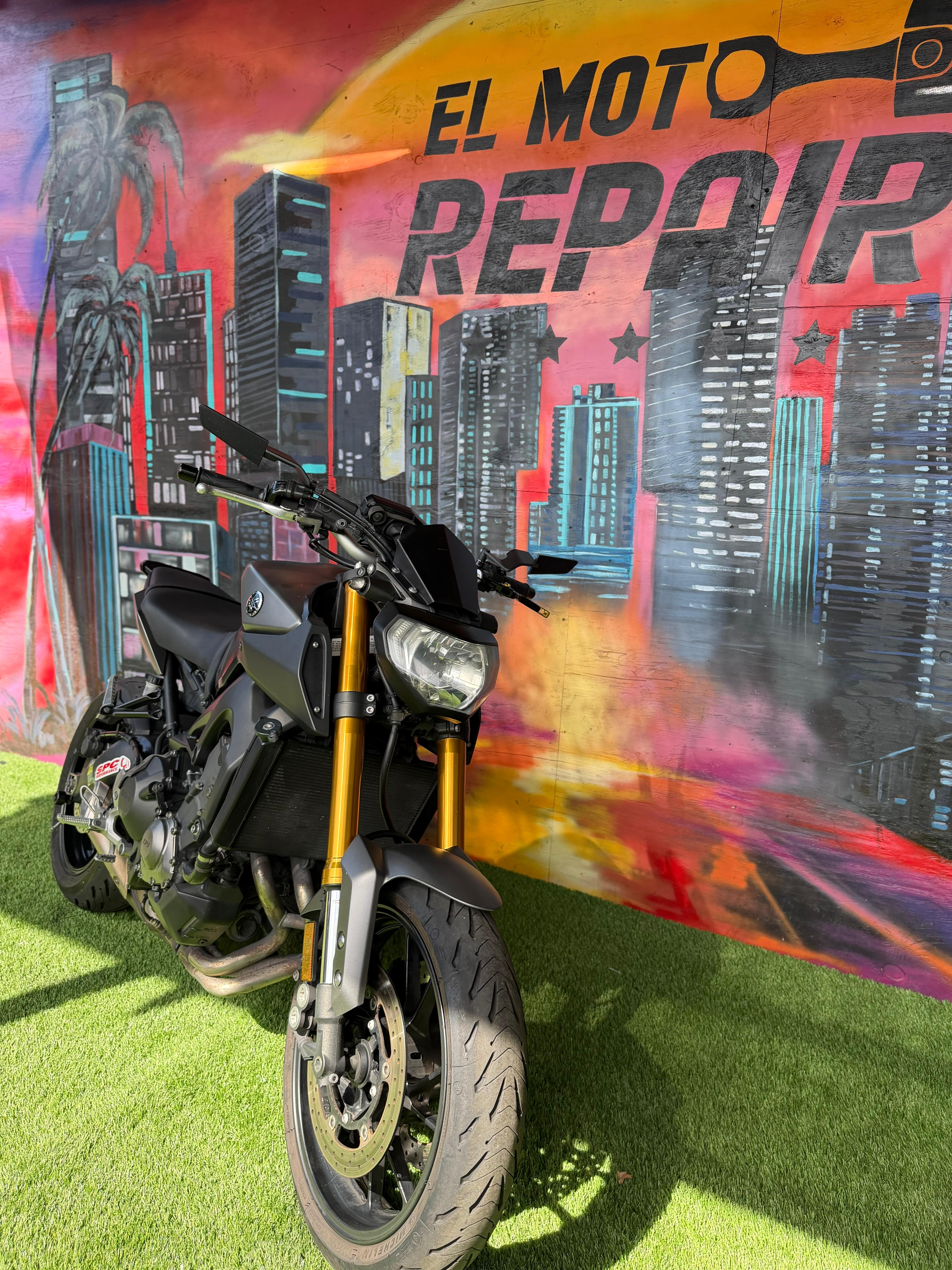 2015 Yamaha FZ 900cc