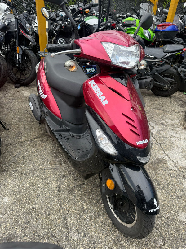2023 ICEBEAR (USADA)  50cc