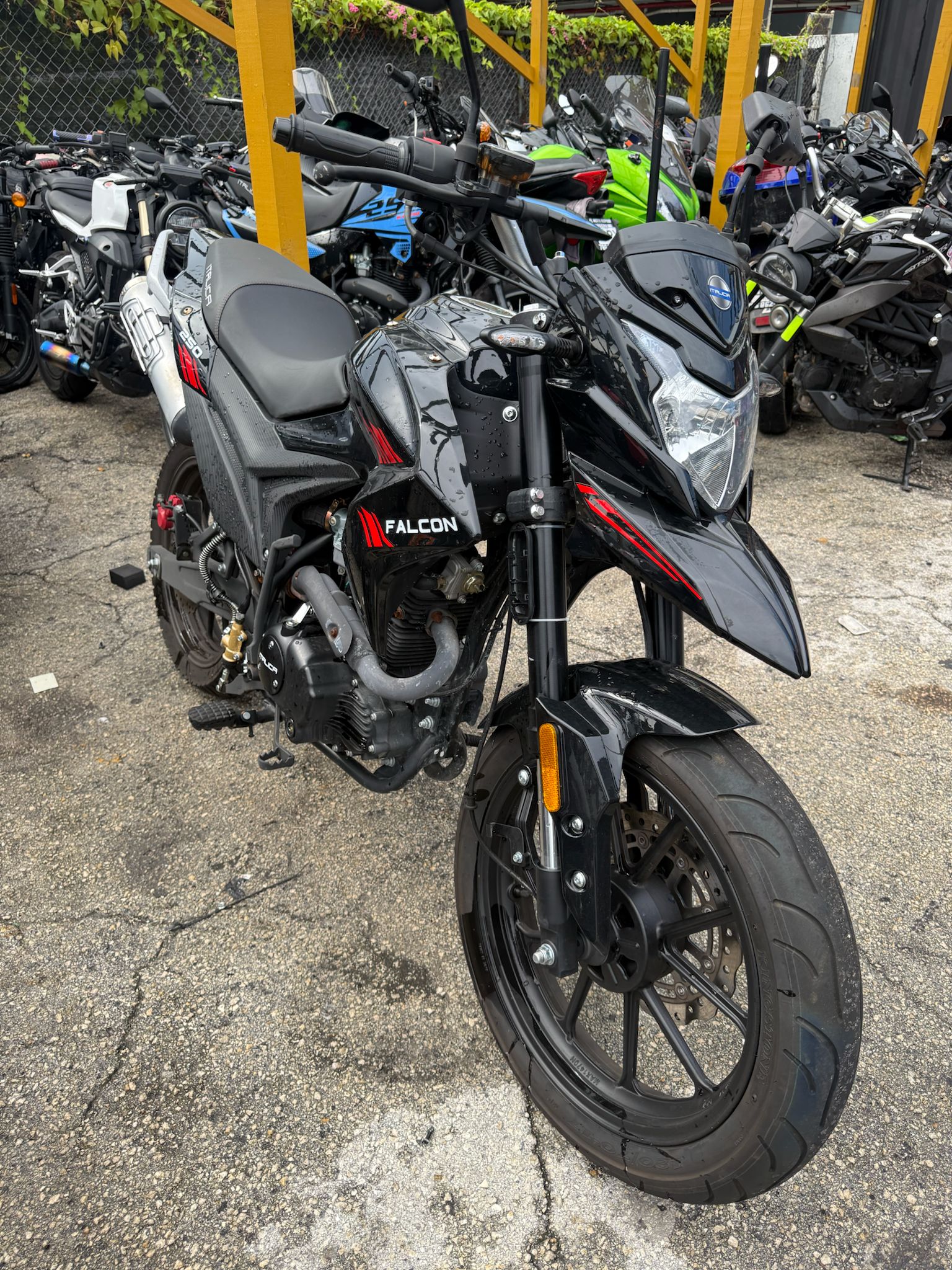 2024 FALCON(USADA)  250cc